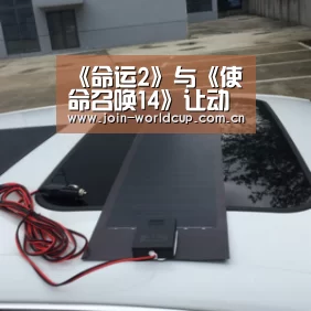 举办城市