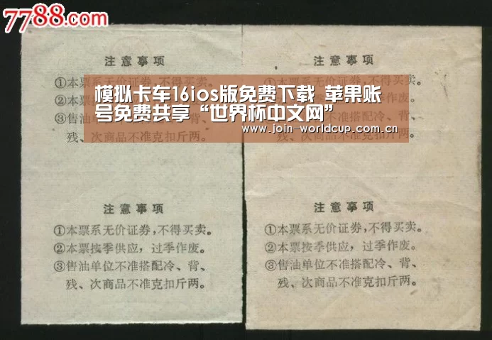 世界杯中文网