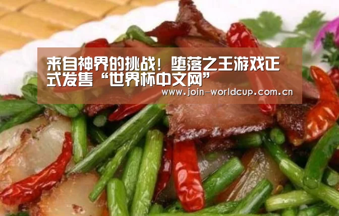 世界杯中文网