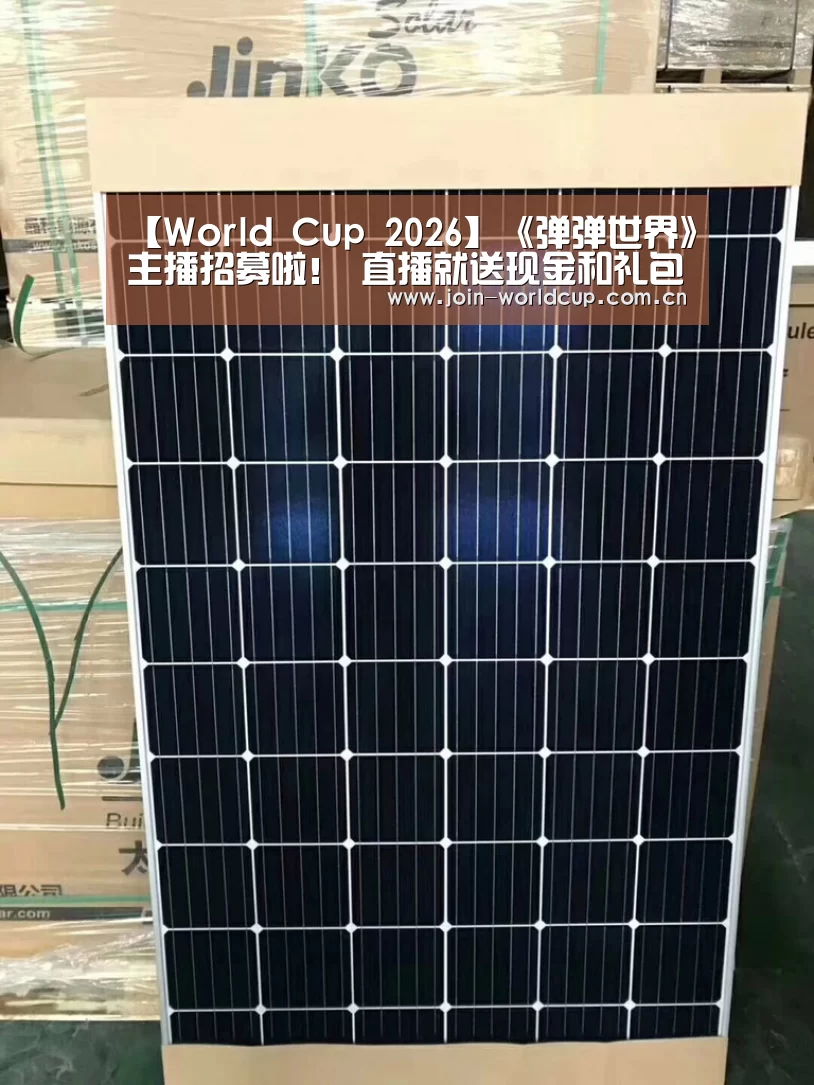 世界杯中文网