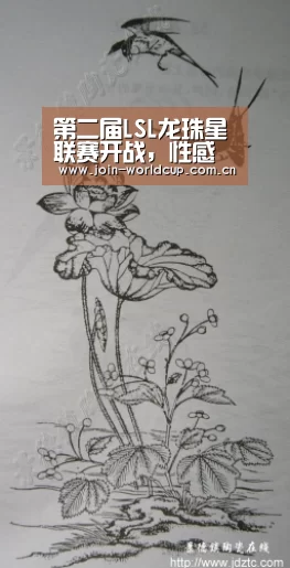 举办城市