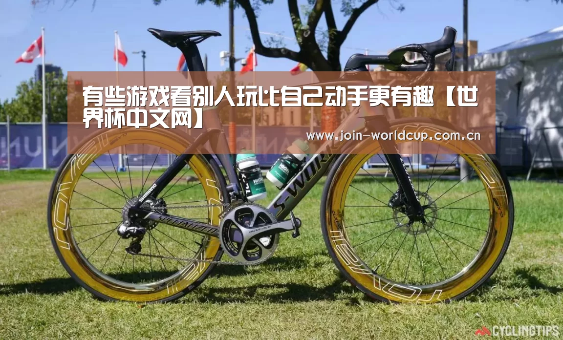 官方动态
