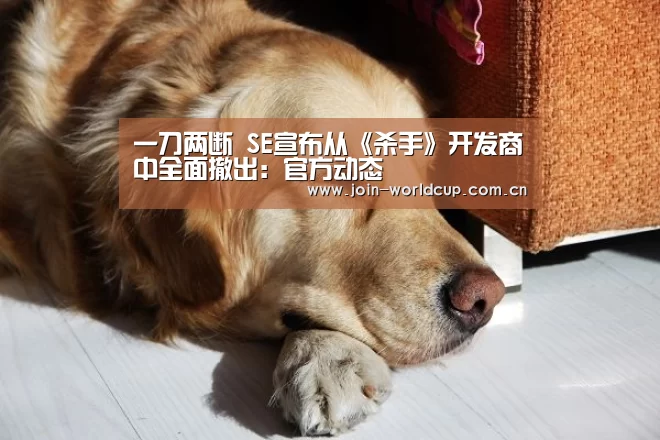 举办城市