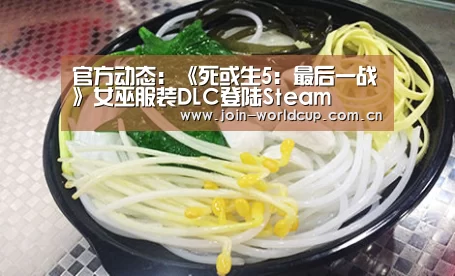 世界杯中文网