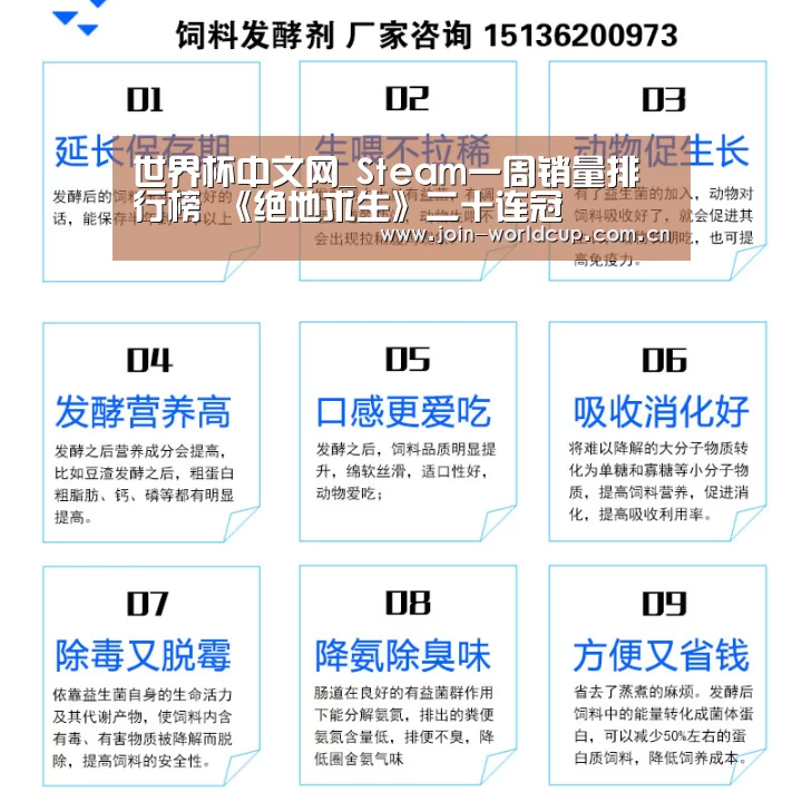 举办城市