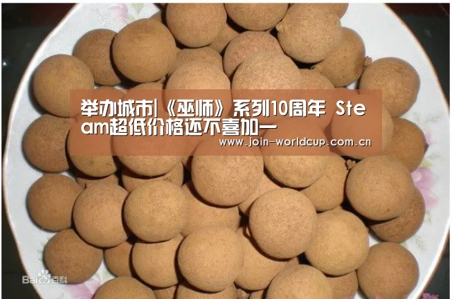 举办城市
