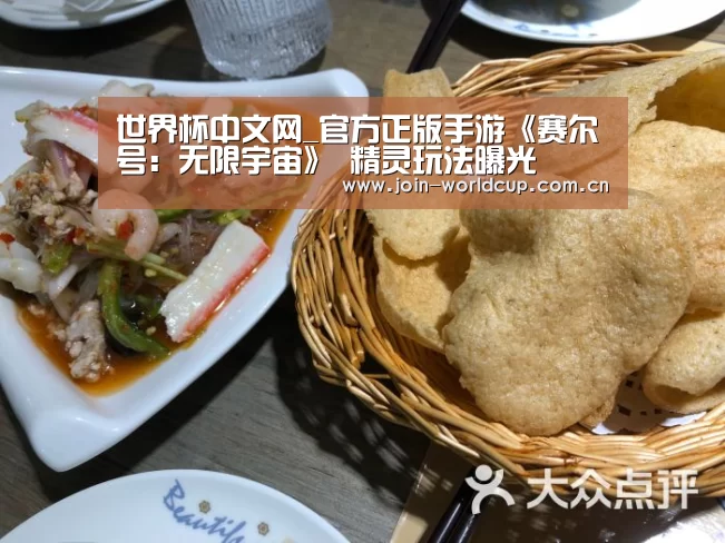 世界杯中文网
